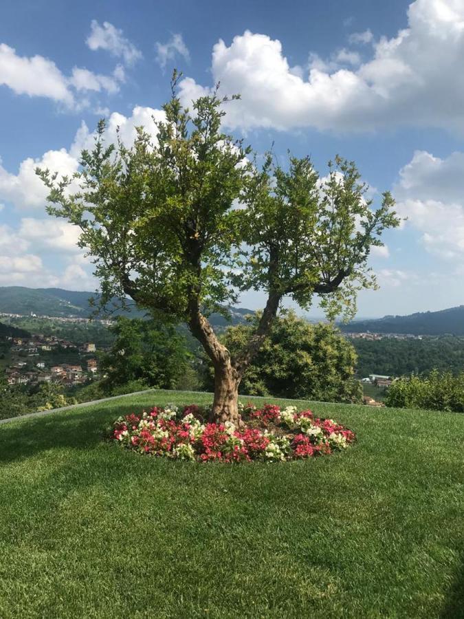 Le Lanterne Bed & Breakfast Villa d'Alme Exterior photo